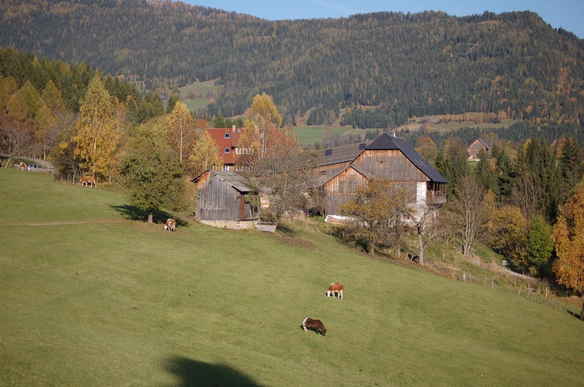 Ferienwohnung Walcherhof Arriach Exterior foto