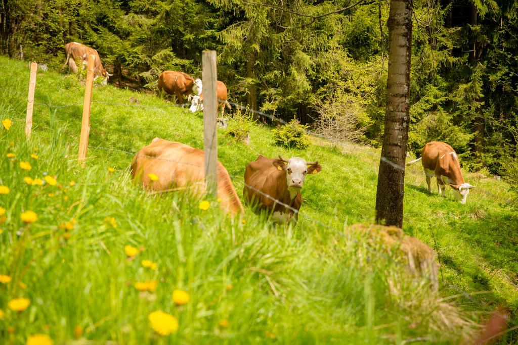 Ferienwohnung Walcherhof Arriach Exterior foto